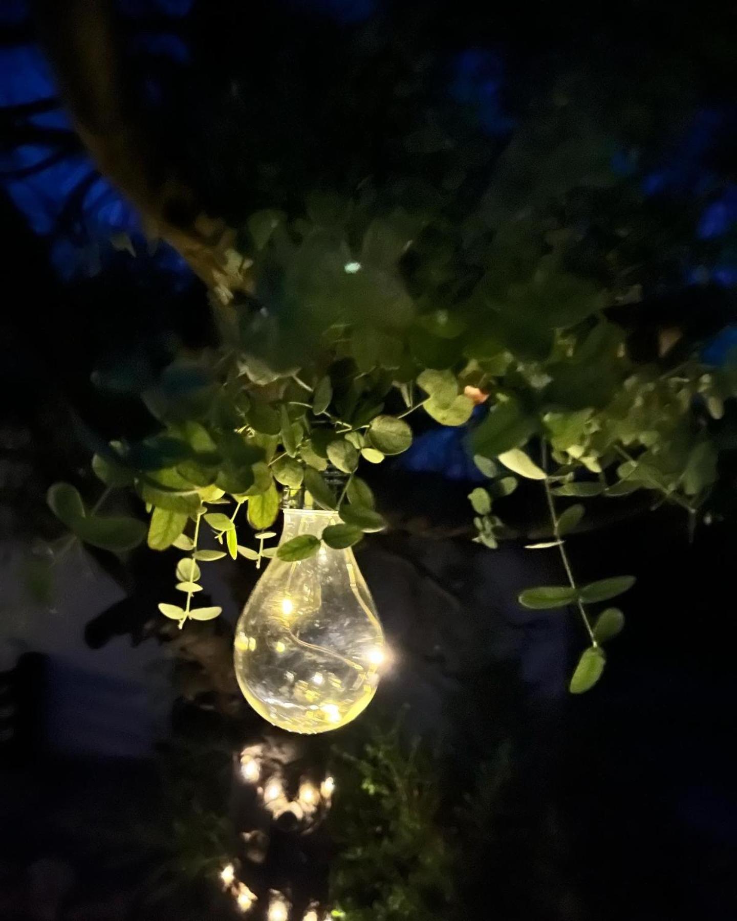 Gite La Borie Fons  المظهر الخارجي الصورة