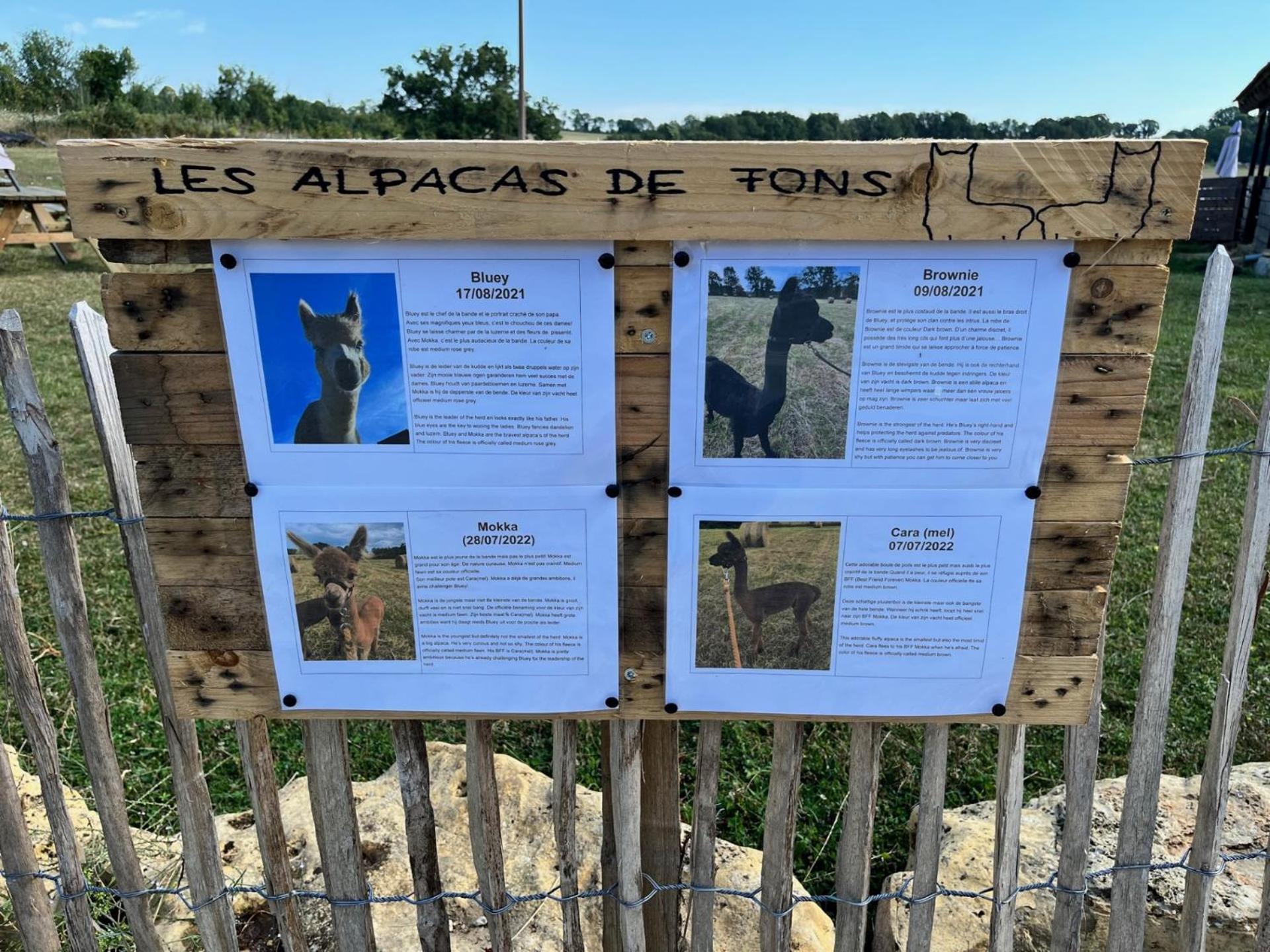 Gite La Borie Fons  المظهر الخارجي الصورة